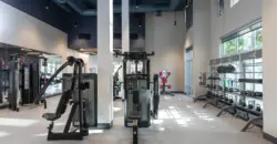 Griffis At The Domain