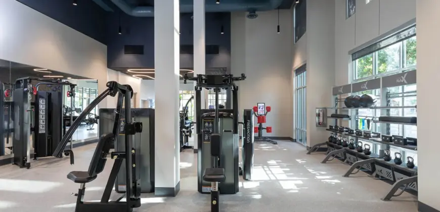 Griffis At The Domain