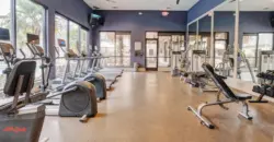 Harlow Spring Cypress