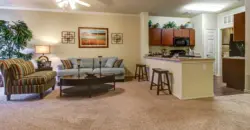 Hemisview Village