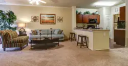 Hemisview Village