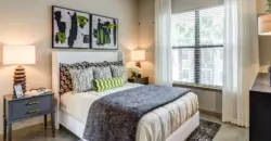 Hermann Park Lofts