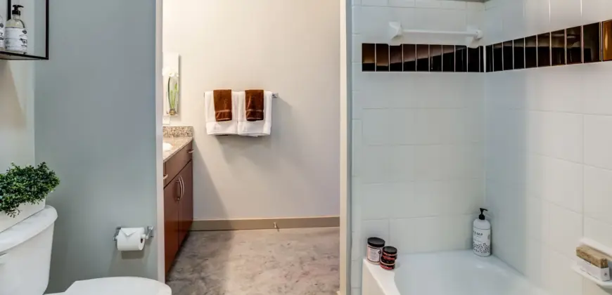 Hermann Park Lofts