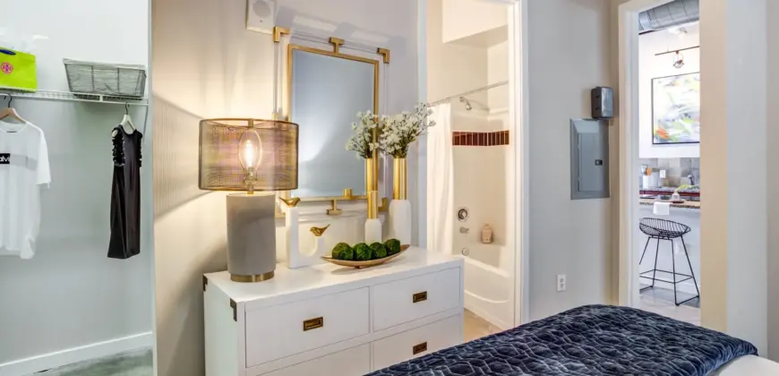 Hermann Park Lofts