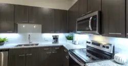 Ivy Lofts