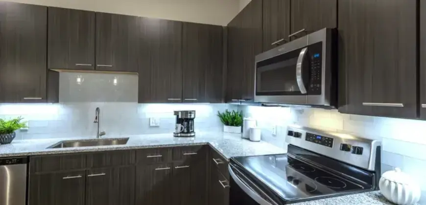 Ivy Lofts