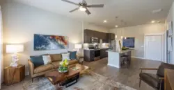 Ivy Lofts