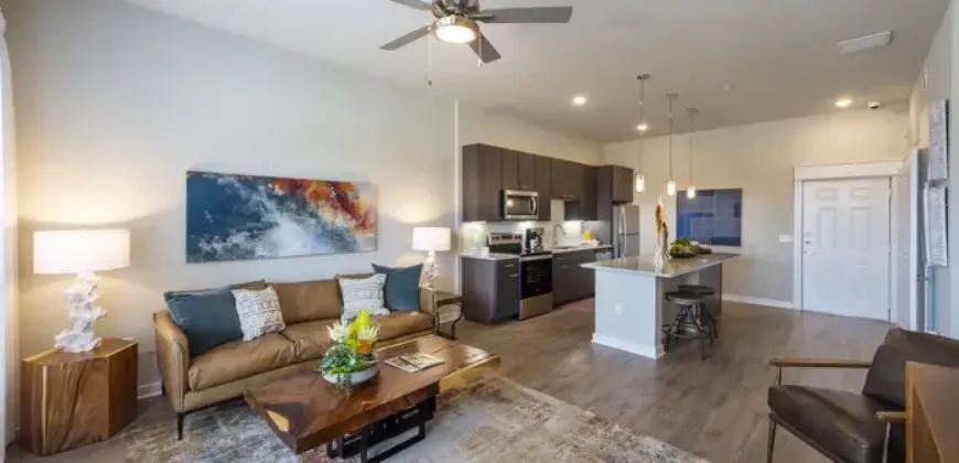 Ivy Lofts