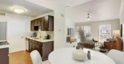 Ivy Urban Living