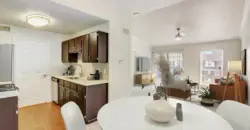 Ivy Urban Living