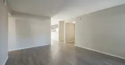 La Mirada