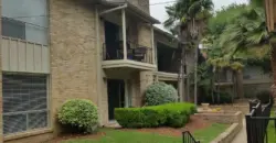 La Paloma