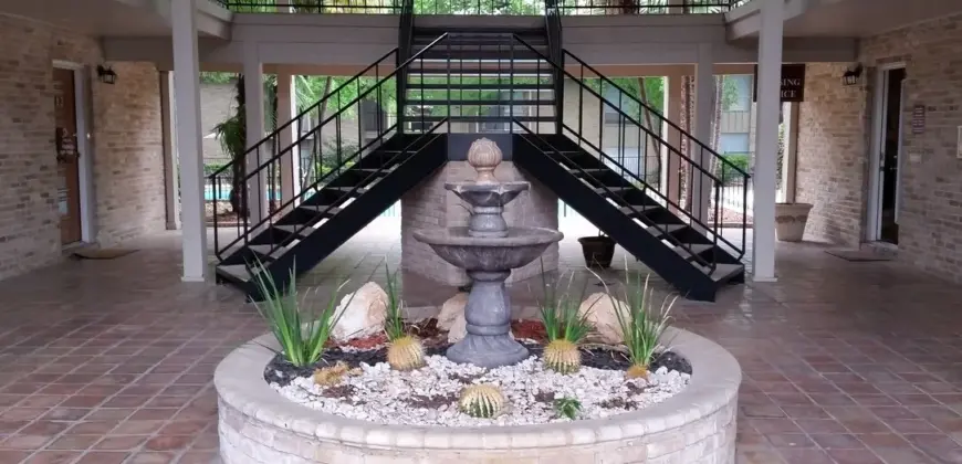 La Paloma
