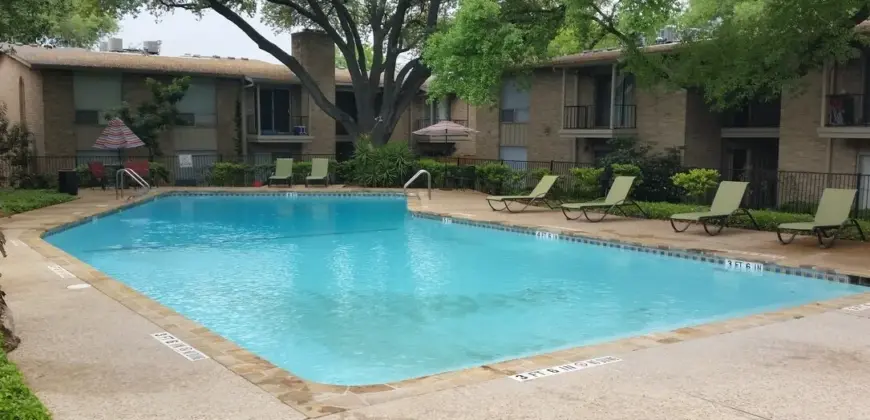 La Paloma