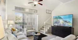 La Ventura