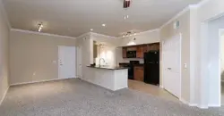 Laguna Vista