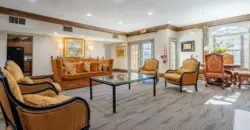 Laguna Vista