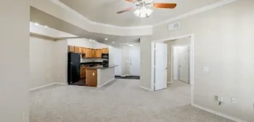 Laguna Vista