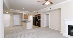 Laguna Vista