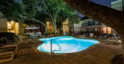 Landera