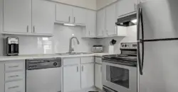 Latitude 2976