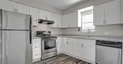 Latitude 2976