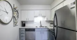 Latitude 2976