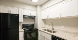 Life At Beverly Palms