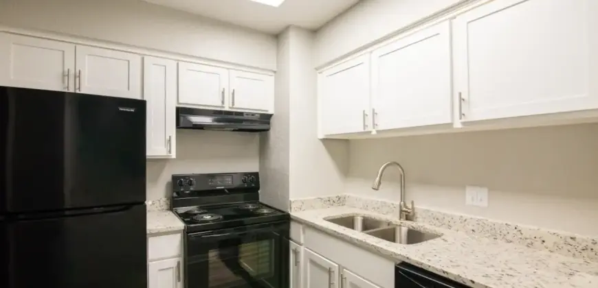 Life At Beverly Palms