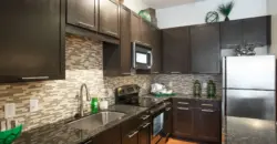 Lofts At City West