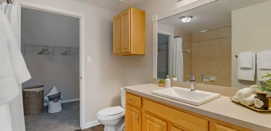 Madison On The Meadow