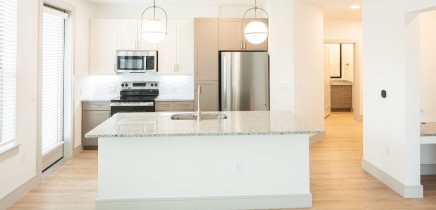 Magnolia Scofield Ridge