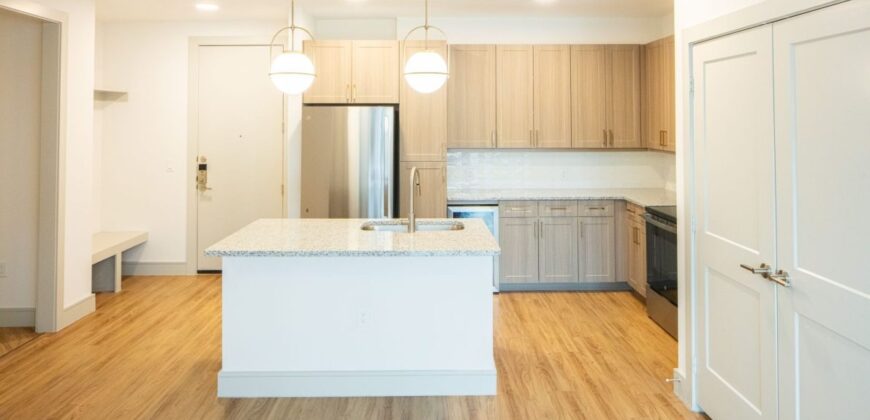 Magnolia Scofield Ridge