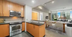 Main 3 Downtown-Flats