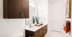 Main Street Lofts