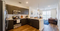 Midtown Highline (Longhorn)