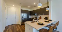 Midtown Highline (Longhorn)