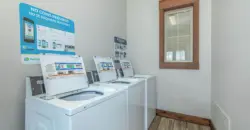 Mirador