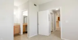 Nova Vista