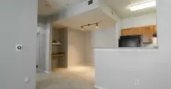 Nova Vista