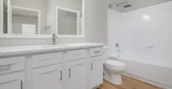 Nova Vista
