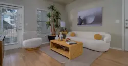 Nova Vista