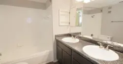 Oasis