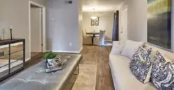 Oasis