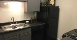 Oasis