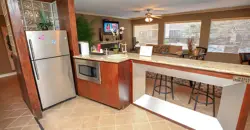 Oasis