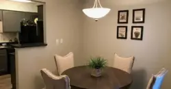 Oasis