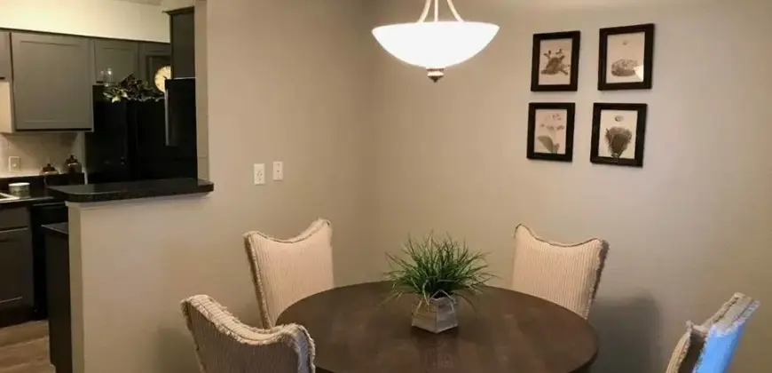 Oasis