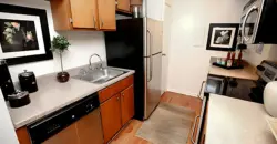 Oasis