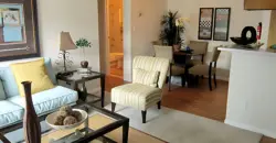 Oasis